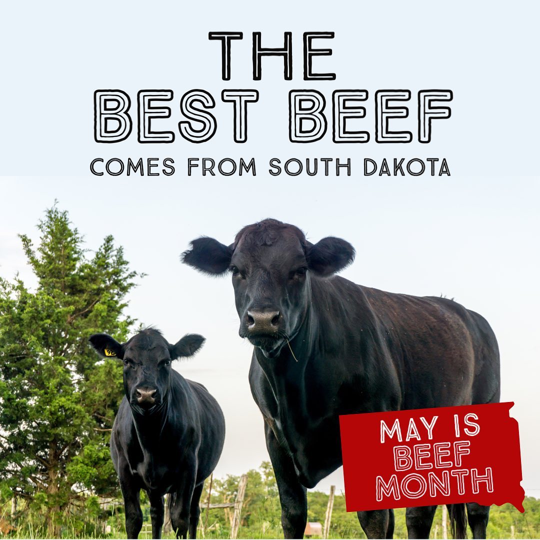 May is Beef Month |The Benefits of Beef Jerky: Why This High-Protein Snack Belongs in Your Daily Routine